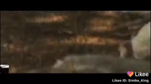 Фильм называется Путь Домой