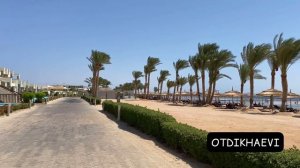 Coral sea Sensatori 5* Египет - лучшее соотношение цена-качество, свежий обзор, сентябрь 2021