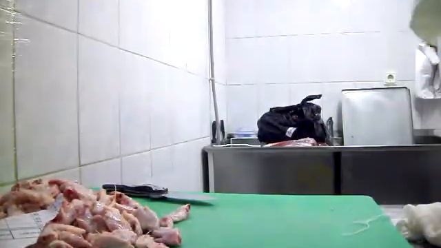 Нож в работе,Dog....отработал. смотреть онлайн