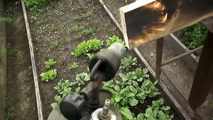 ГРЯДКА ДЛЯ ВИКТОРИИ. ЗЕМЛЯНИКА.
