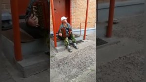 Матаня на рояльной гармони мастера Котелкина. Небольсин Евгений Романович.