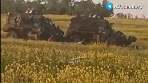 После этого видео Путин подал в отставку и вывел войска с Украины.