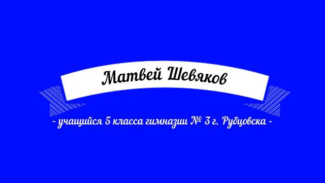 IX Олимпиада по ментальной арифметике