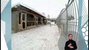 По секрету всему свету. Хаски (сурдоперевод)