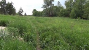 Навещаем предков