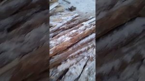 дробилка горбыля