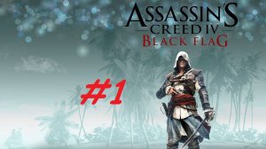 Assassins Creed lV # 1