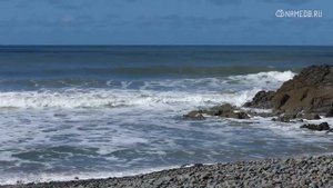 Знак Зодиака Мужчина-Рак: Характеристика и Совместимость