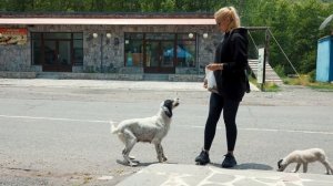Как живут простые люди в Грузии: такого никто не ожидал
