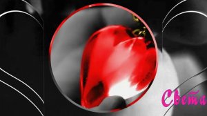 Татьяна Коршук ( Ника) - Милый! монтаж Светлана Ромадина