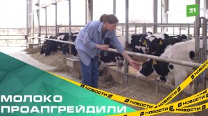 Модернизированное молоко. СПК «Коелгинский» оснастили новыми телятниками и родильным домом