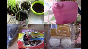 КАК ВАРЮ КОФЕ. ПОКУПКИ ПРОДУКТОВ. ВКУСНЯШКИ. РАССАДА. УВЛАЖНИТЕЛЬ ВОЗДУХА