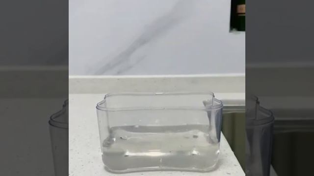 Дозатор для моющего средства с губкой смотреть онлайн