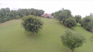 Darwin Baby Ape drone pro v2