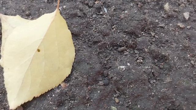 Александр Толкунов - Ничего нового? смотреть онлайн