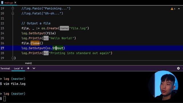 How to Properly Log Things in Go (Native) - STOP using fmt.Println()