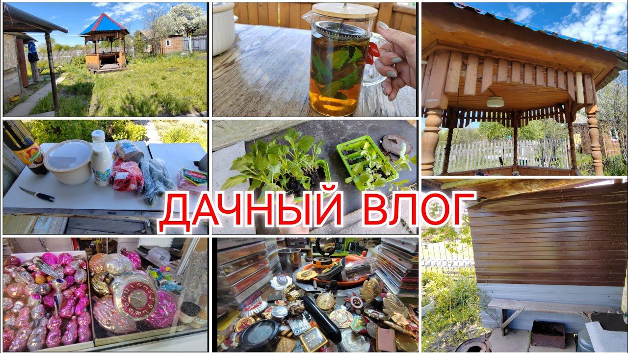 ПРИВЕТ ИЗ СССР / ПЕРЕНЕСЛИ БЕСЕДКУ / ПОЛЕЗНЫЙ ЧАЙ /СУПЕР ВКУСНАЯ ОКРОШКА /28 мая 2024 г.