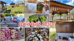 ПРИВЕТ ИЗ СССР / ПЕРЕНЕСЛИ БЕСЕДКУ / ПОЛЕЗНЫЙ ЧАЙ /СУПЕР ВКУСНАЯ ОКРОШКА /28 мая 2024 г.