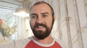 Гусята в начале и в конце видео