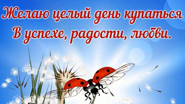 УСТАНОВКА  НА  ХОРОШИЙ  ДЕНЬ!!!САМЫЕ  ЛУЧШИЕ ДРУЗЬЯ  -   ЭТО  МОИ!!!