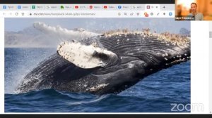 Шри Кешава Рая прабху - Класс Шримад Бхагаватам Б 10.66.4-6