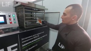 Заморозка вареных раков в рассоле за 20 минут