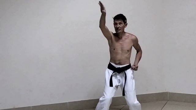 Магия ката каратэ-5. Тэнсе. Боевое дыхание. смотреть онлайн