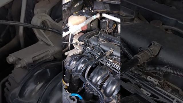Cómo cambiar el líquido anticongelante en Ford Ecosport (FIESTA) años 2.013 a 2.017. смотреть онлайн