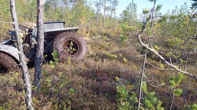 охота без добычи!!! вездеход чибис откатал на пятерочки.06.09.21 смотреть онлайн