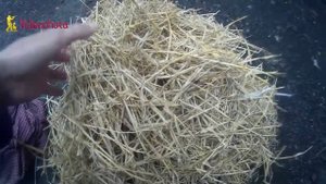 Подстилка для собак! Videoohota
