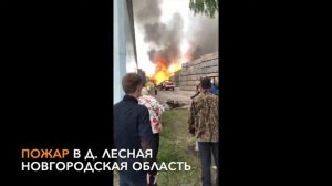 Пожар в деревне Лесная / Новгородская область