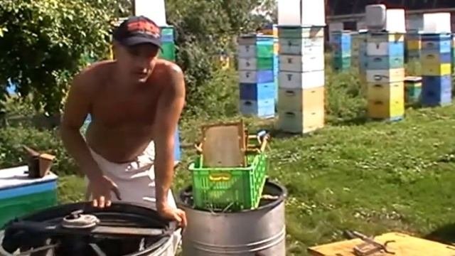 Гречишный мед.