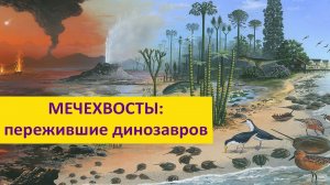 Мечехвосты: пережившие динозавров Наталья Носова