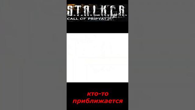 #shorts #S.T.A.L.K.E.R #НАРЕЗКА # ПРИКОЛ # кто-то приближается