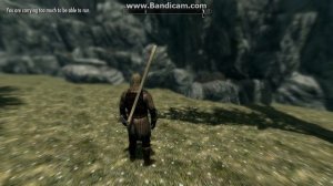 Steel and Iron weapons replacer for Skyrim