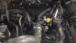 Стук двигателя Peugeot expert 2.0hdi