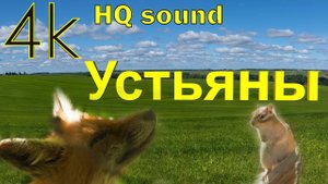 Голоса Устьян