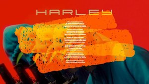 WhyBaby? - Harley (текст песни)