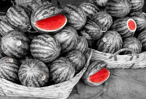 Самый дорогой арбуз, Дэнсукэ.