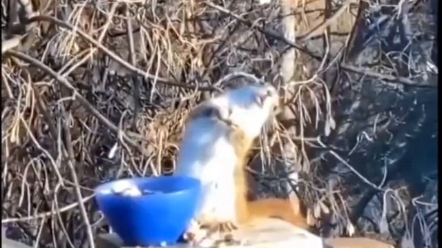 Население Украины смотреть онлайн