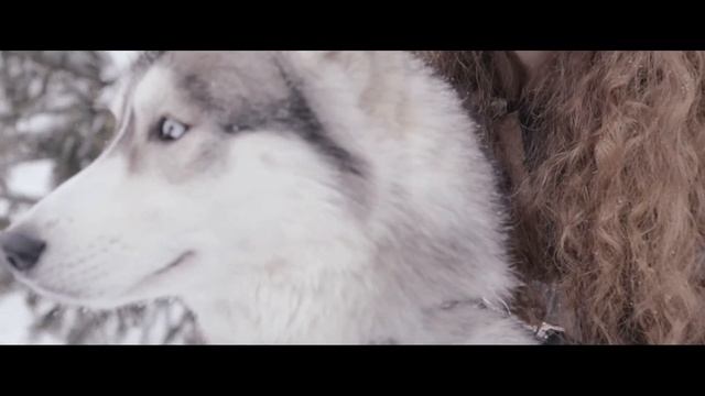 Александр Честный-Зимняя сказка смотреть онлайн