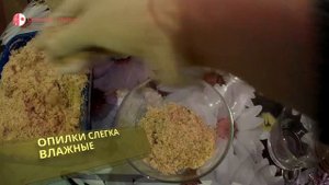 Жидкое дерево. Самый простой и дешевый рецепт.