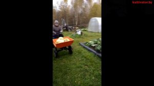 Минитрактор из мотоблока.  Соберем и доставим