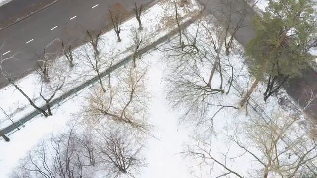 СИЛА ПРИВЫЧКИ. Как победить себя? Возникновение и значение привычек. Пестов