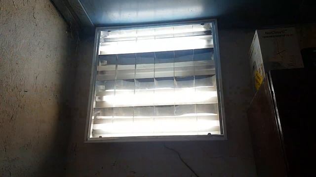 EOL PHILIPS TL-D 18W 54/765 #9 смотреть онлайн