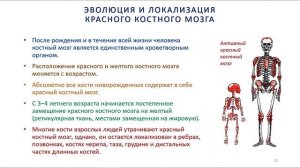 1 Теория Секреты омоложения от Доктора Шишонина