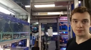 НОМЕРНЫЕ СОМЫ, АЛЬТУМ, ЭКЗОТИКА, Птичий рынок, Москва.