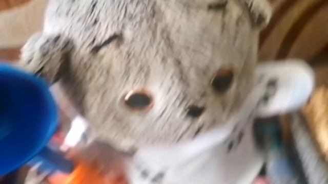 Бася готовится к школе?? смотреть онлайн