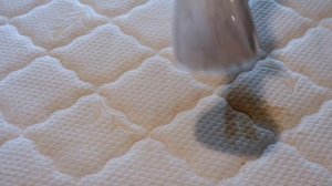 UWANT B200 Spot Cleaner and Steamer Mattress Cleaning Demo Video