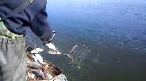 РЫБАЛКА ВЕСНОЙ ПРОМЫСЛОВИКИ,